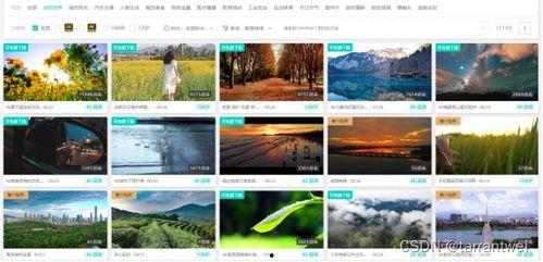 最新爆料视频素材,独家素材深度解析